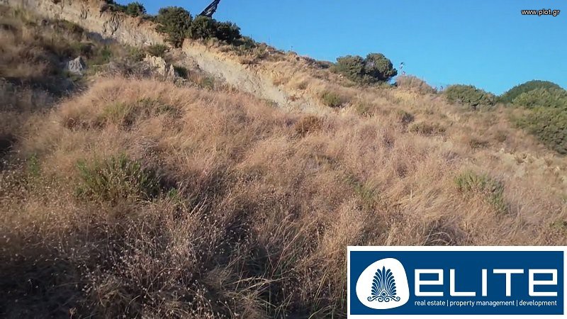 Αγροτεμάχια 9.000 τ.μ. προς πώληση, Ελειός - Πρόννοι