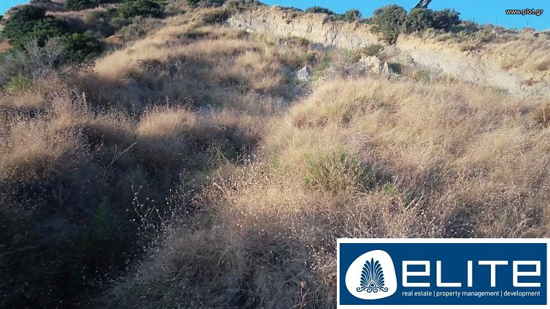 Αγροτεμάχια 9.000 τ.μ. προς πώληση, Ελειός - Πρόννοι