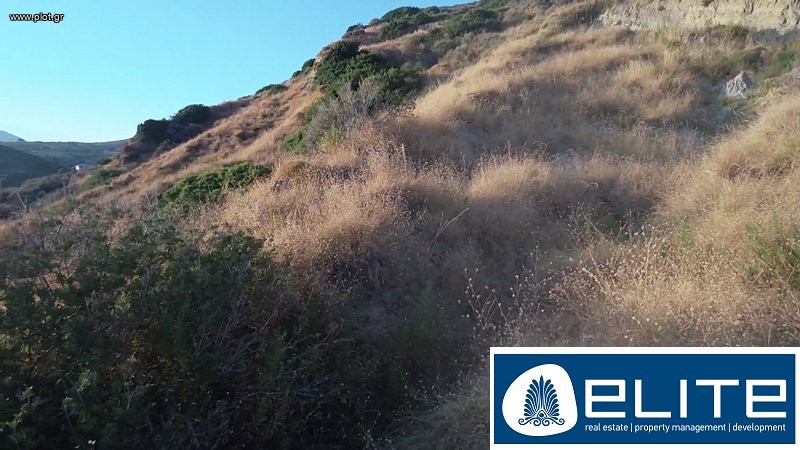 Αγροτεμάχια 9.000 τ.μ. προς πώληση, Ελειός - Πρόννοι