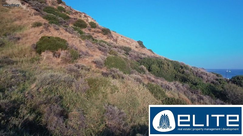 Αγροτεμάχια 9.000 τ.μ. προς πώληση, Ελειός - Πρόννοι