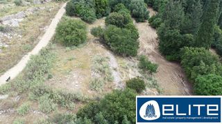 Αγροτεμάχια 8.000 τ.μ. για πώληση