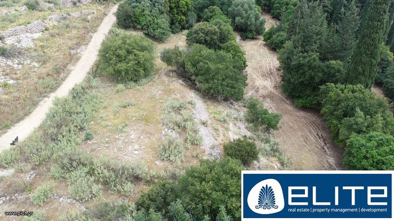 Parcel 8.000 sqm for sale, Kefallinia Prefecture, Kefalonia