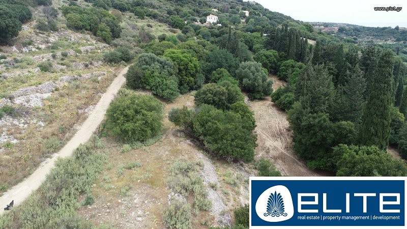 Αγροτεμάχια 8.000 τ.μ. προς πώληση, Ελειός - Πρόννοι