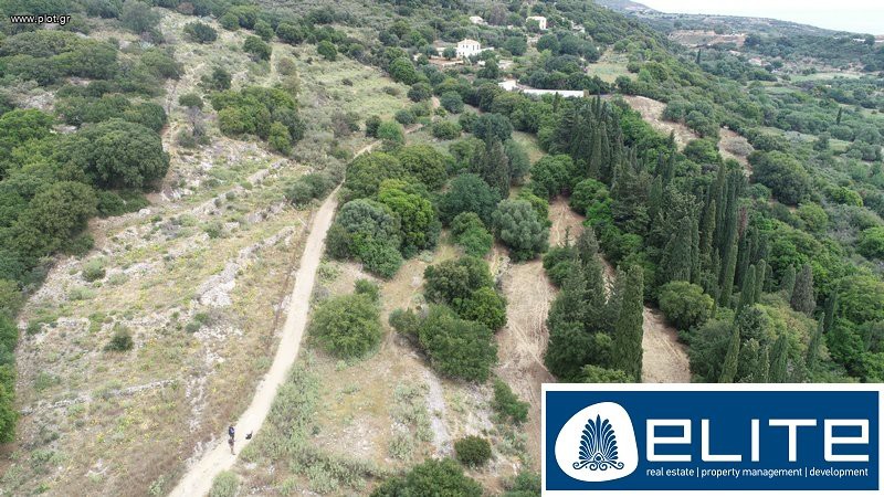 Αγροτεμάχια 8.000 τ.μ. προς πώληση, Ελειός - Πρόννοι