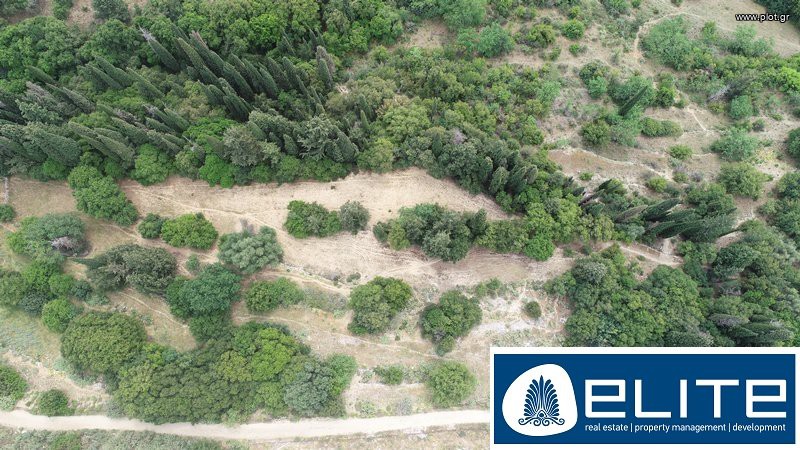 Αγροτεμάχια 8.000 τ.μ. προς πώληση, Ελειός - Πρόννοι