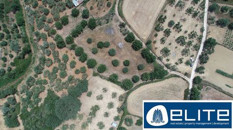 Αγροτεμάχια 4.860τ.μ. για πώληση-Κεφαλονιά » Λειβαθώ