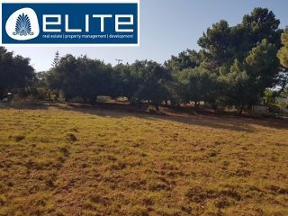 Αγροτεμάχια 3.000 τ.μ. για πώληση