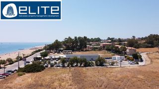 Αγροτεμάχια 33.672 τ.μ. για πώληση
