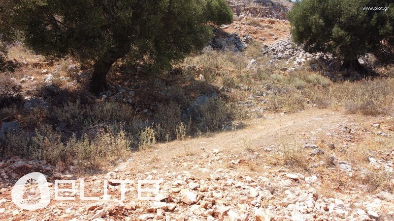 Αγροτεμάχια 933,76 τ.μ. προς πώληση, Ελειός - Πρόννοι