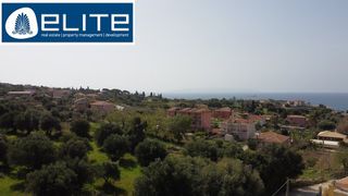 Αγροτεμάχια 3.050 τ.μ. για πώληση