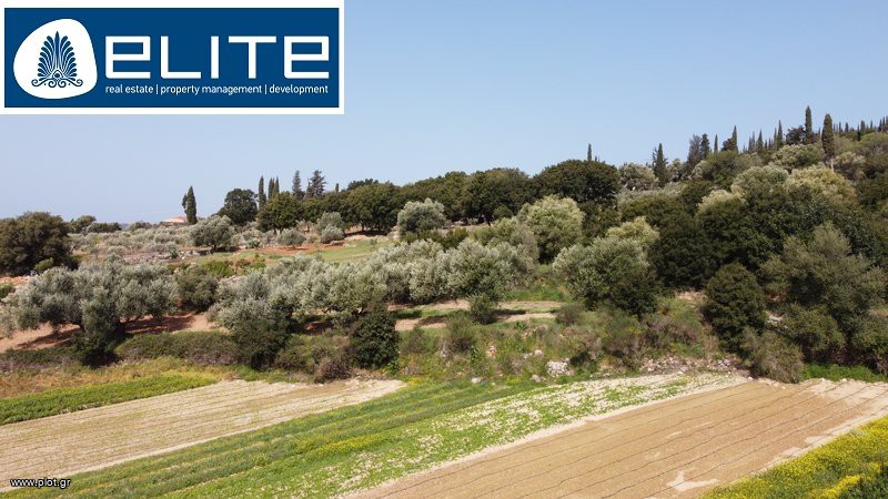 Αγροτεμάχια 3.050 τ.μ. προς πώληση, Λειβαθώ