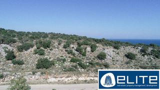 Αγροτεμάχια 8.500 τ.μ. για πώληση