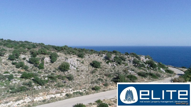 Αγροτεμάχια 8.500 τ.μ. προς πώληση, Ελειός - Πρόννοι