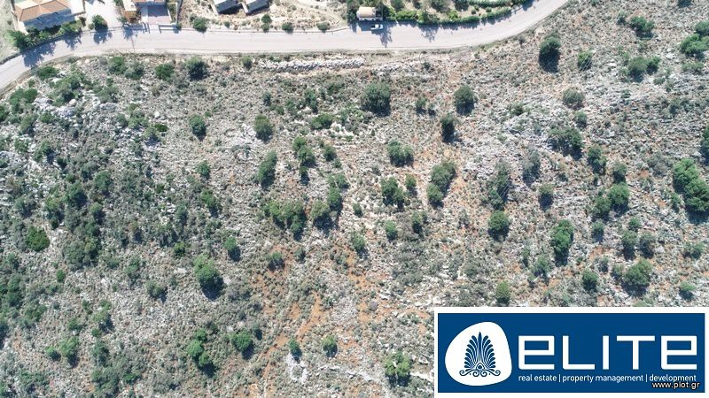 Αγροτεμάχια 8.500 τ.μ. προς πώληση, Ελειός - Πρόννοι