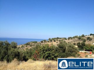 Αγροτεμάχια 16.000 τ.μ. για πώληση