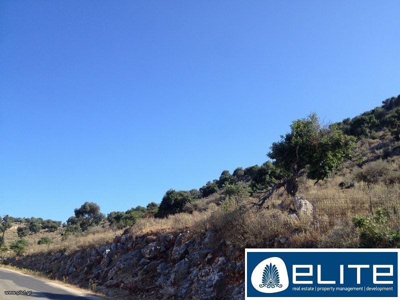 Αγροτεμάχια 16.000 τ.μ. προς πώληση, Ελειός - Πρόννοι