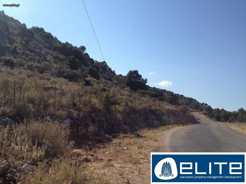 Αγροτεμάχια 16.000 τ.μ. προς πώληση, Ελειός - Πρόννοι