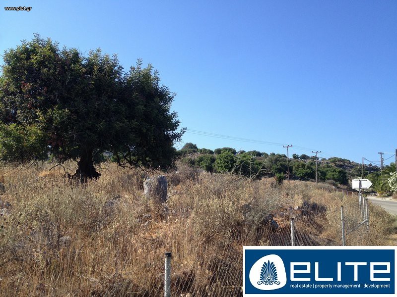 Αγροτεμάχια 8.200 τ.μ. προς πώληση, Ελειός - Πρόννοι