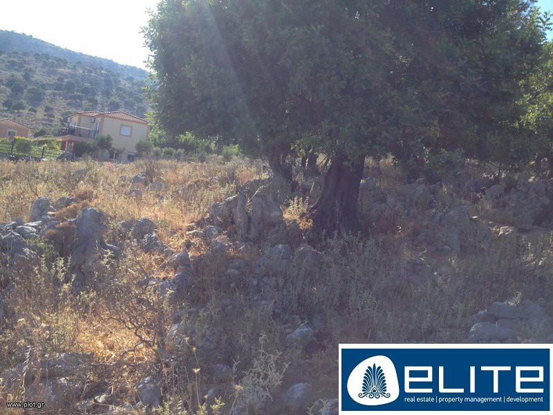 Αγροτεμάχια 8.200 τ.μ. προς πώληση, Ελειός - Πρόννοι