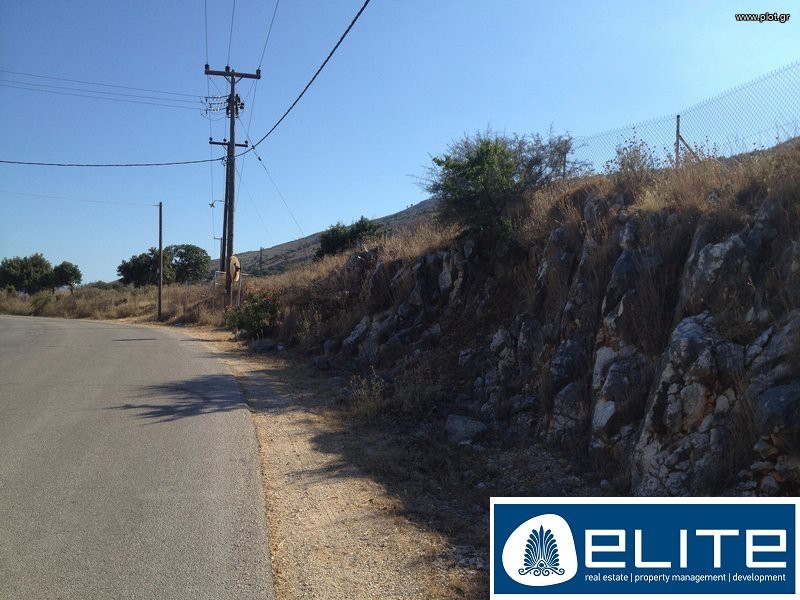 Αγροτεμάχια 8.200 τ.μ. προς πώληση, Ελειός - Πρόννοι