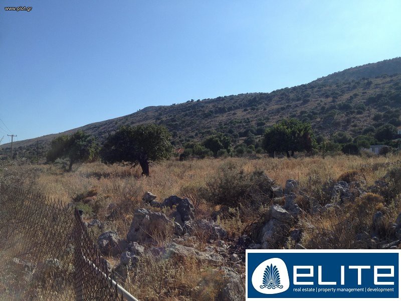 Αγροτεμάχια 8.200 τ.μ. προς πώληση, Ελειός - Πρόννοι