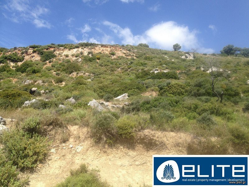 Αγροτεμάχια 6.000 τ.μ. προς πώληση, Ελειός - Πρόννοι
