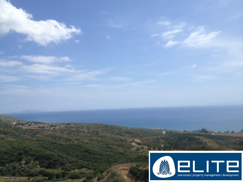 Αγροτεμάχια 6.000 τ.μ. προς πώληση, Ελειός - Πρόννοι