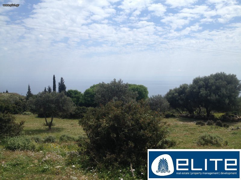 Αγροτεμάχια 4.100 τ.μ. προς πώληση, Ελειός - Πρόννοι