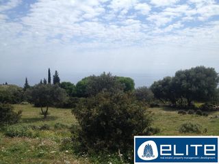 Αγροτεμάχια 4.100 τ.μ. για πώληση