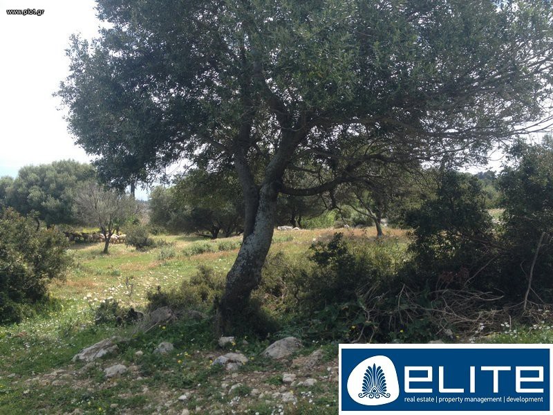 Αγροτεμάχια 4.100 τ.μ. προς πώληση, Ελειός - Πρόννοι