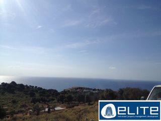 Αγροτεμάχια 7.000 τ.μ. για πώληση