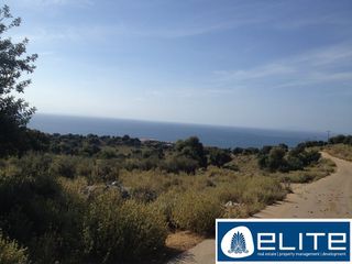 Αγροτεμάχια 17.000 τ.μ. για πώληση