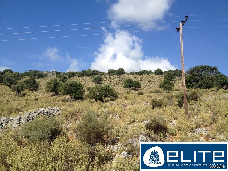 Αγροτεμάχια 17.000 τ.μ. προς πώληση, Ελειός - Πρόννοι