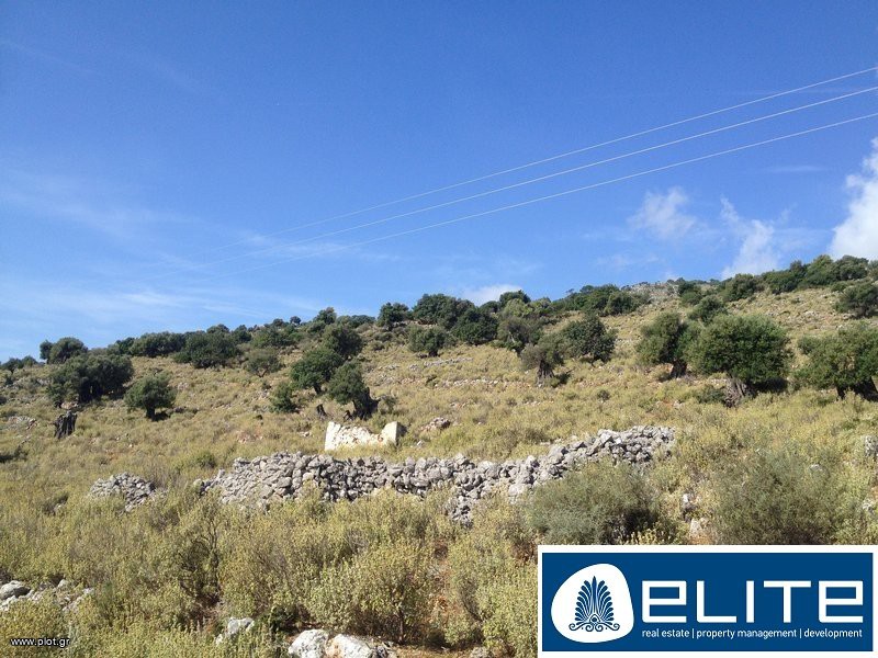 Αγροτεμάχια 17.000 τ.μ. προς πώληση, Ελειός - Πρόννοι
