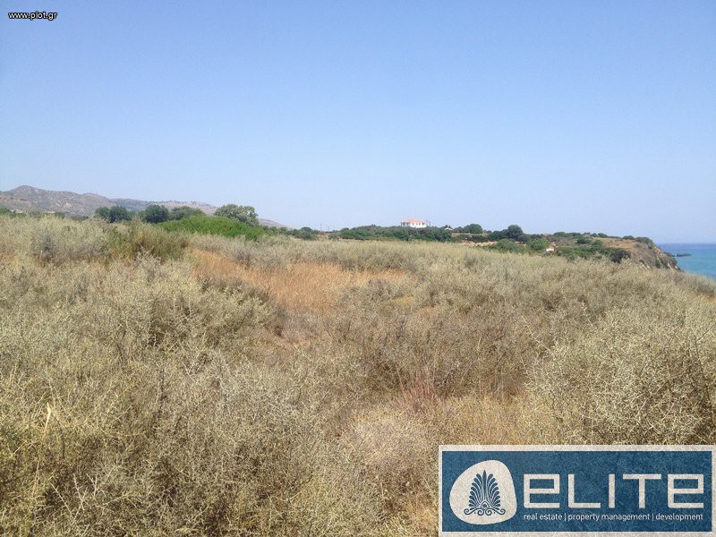 Αγροτεμάχια 8.257 τ.μ. προς πώληση, Ελειός - Πρόννοι