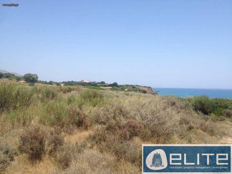 Αγροτεμάχια 8.257 τ.μ. προς πώληση, Ελειός - Πρόννοι