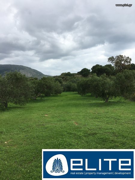 Αγροτεμάχια 12.000 τ.μ. προς πώληση, Ελειός - Πρόννοι