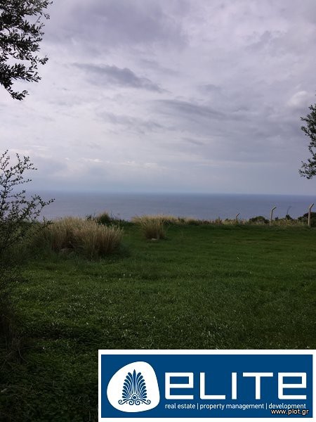 Αγροτεμάχια 12.000 τ.μ. προς πώληση, Ελειός - Πρόννοι