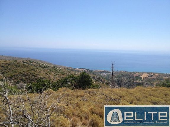 Αγροτεμάχια 5.000 τ.μ. για πώληση, Ν. Κεφαλονιάς, Κεφαλονιά