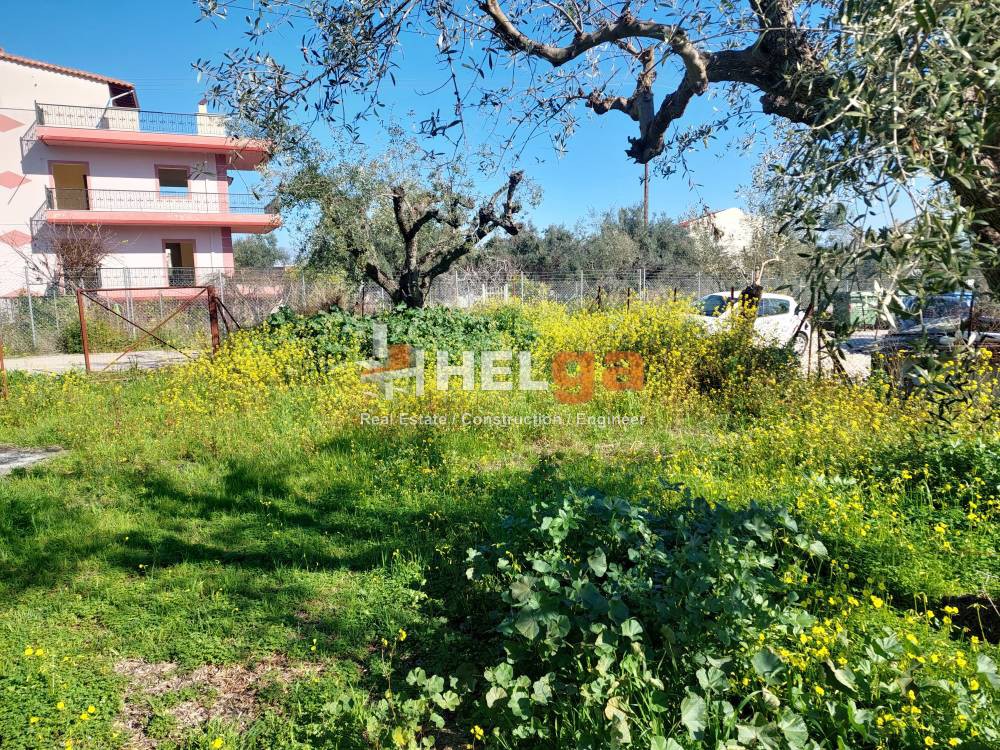 Αγροτεμάχια 1.629 τ.μ. προς πώληση, Μονοδένδρι Βραχναιίκων
