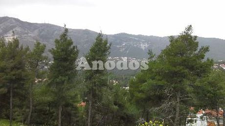 Οικόπεδο 817τ.μ. για πώληση-Διόνυσος » Κέντρο