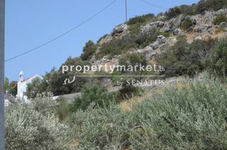 Οικόπεδο 4.000 τ.μ. για πώληση