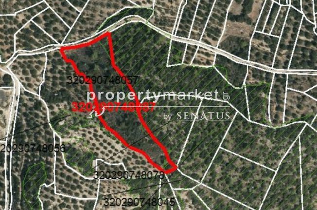 Οικόπεδο 6.000 τ.μ. για πώληση, Ν. Λασιθίου, Άγιος Νικόλαος