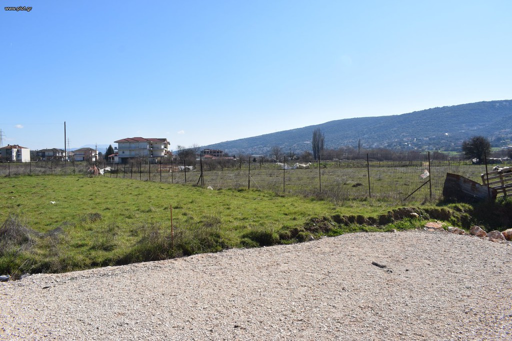 Οικόπεδο 934 τ.μ. προς πώληση, Καρδαμίτσια