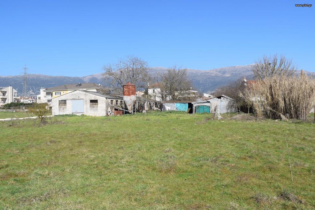 Οικόπεδο 934 τ.μ. προς πώληση, Καρδαμίτσια