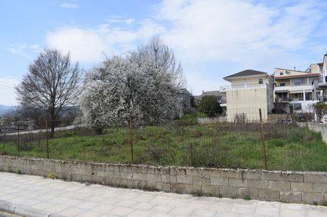 Land plot 394sqm for sale-Anatoli