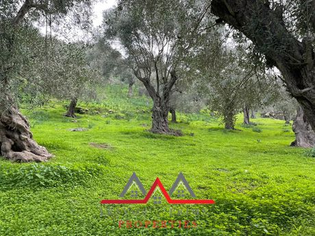 Land plot 3.616sqm for sale-Lesvos - Mitilini » Charamida