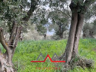 Οικόπεδο 3.616 τ.μ. προς πώληση, Χαραμίδα-thumb-4