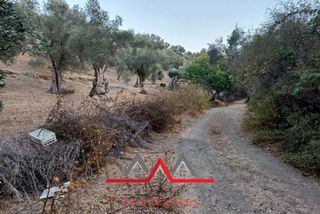 Οικόπεδο 3.616 τ.μ. προς πώληση, Χαραμίδα-thumb-8