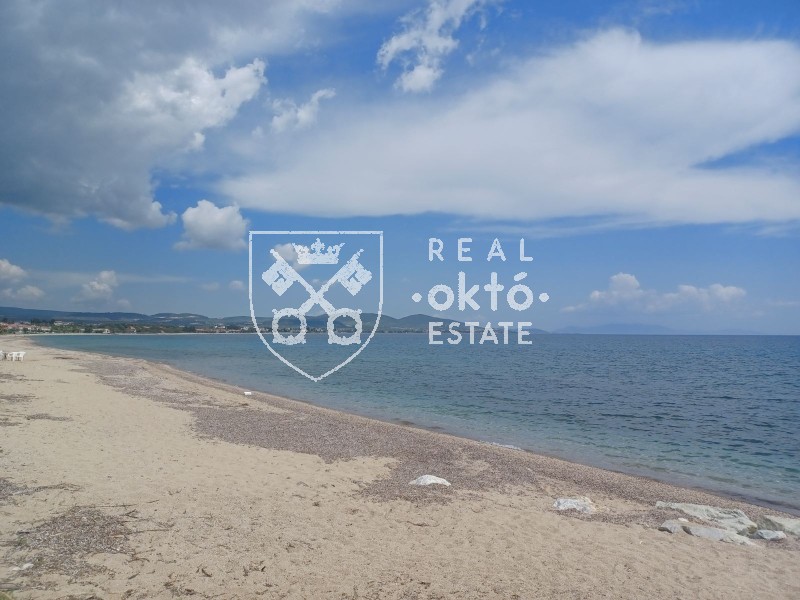 Οικόπεδο 2.400 τ.μ. πρός πώληση, Χαλκιδική, Πολύγυρος